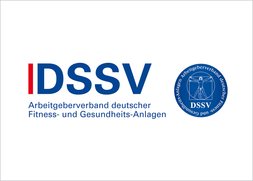DSSV Logo Partner